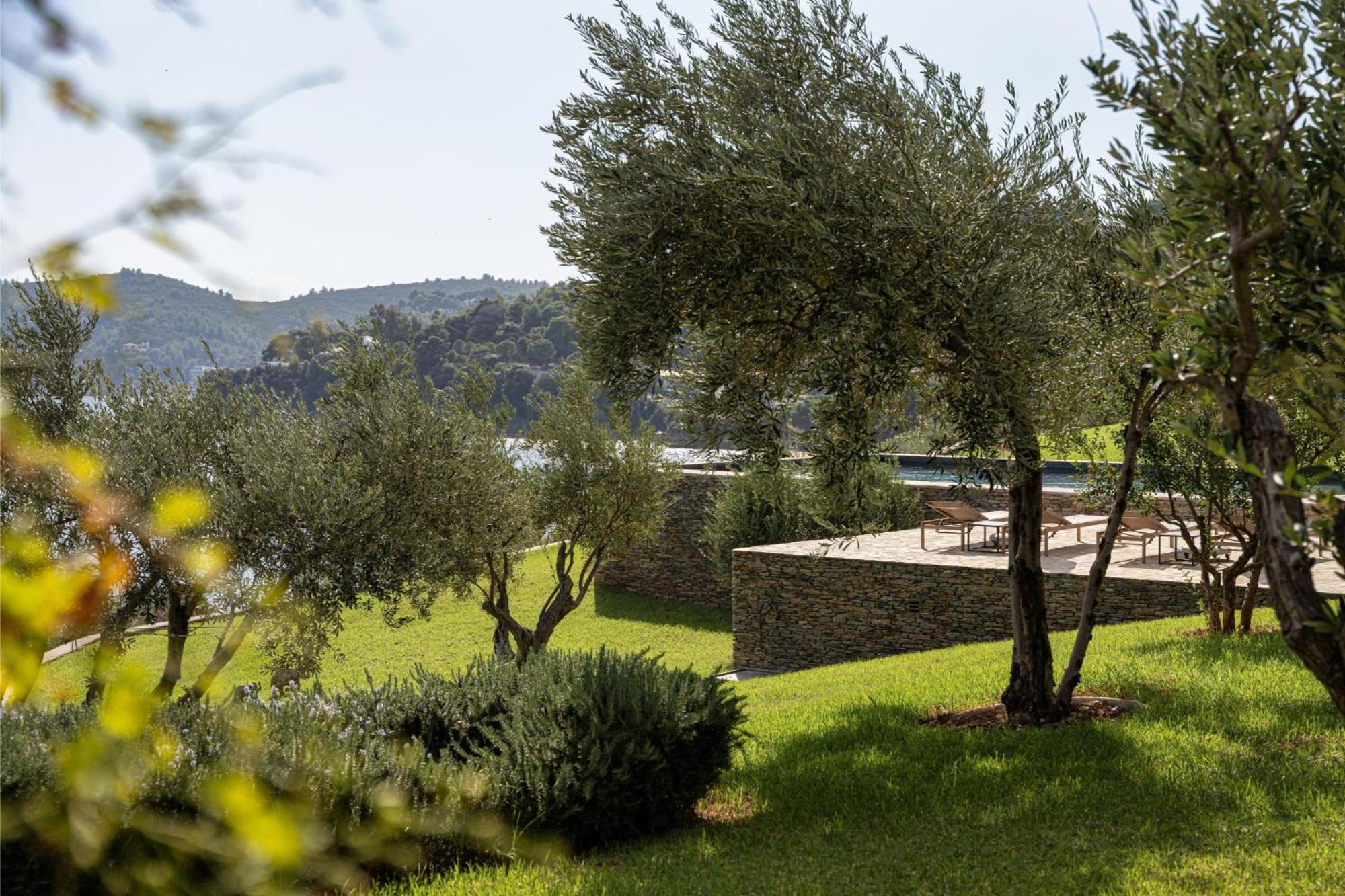 Pelagoon Skiathos Achladies  Phòng bức ảnh